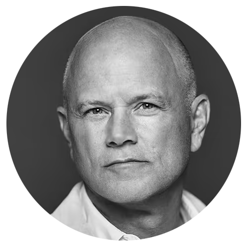 Mike-Novogratz-Omega